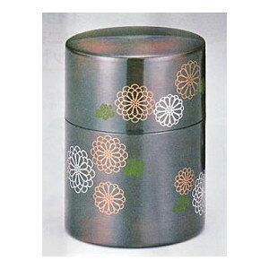 o128-03@@e؁yyMt_zyyMt_̂z