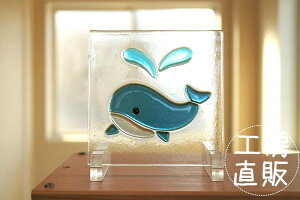 t[WO ZpKXpl   12cm×12cm yXehOXH[ hA  ̂  gC}[N lCr[u[ C   Vz z V tH[ Ce