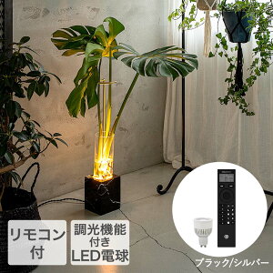 TIC �t�����[�ׁ[�X�����v �V���o�[ �����R���t �t���A�����v LED �Ɩ���� ���~�i�X�g�[�� | �Ɩ� �ԕr �t���A �����v ���C�g �ԐڏƖ� ������ �C���e���A �� �Ƃ炷 �A�� �� �}���� ���k �ϗt