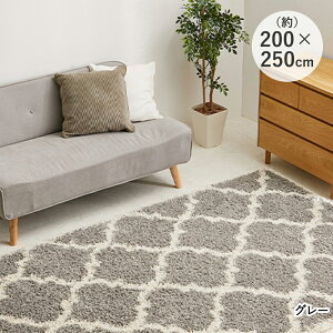 y Gg[Ń|Cgő14{ 12/4()20:00`12/11()1:59܂ zxj EBgD VM[O 200×250 X GWvg  | q[gZbgH EBgD@ G _