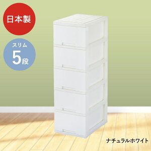 j[CtX [{bNX 5i LX^[t O[p | [ {bNX `FXg m^X o P[X m[P[X [box [{bNX5i [P[X ߑP[X 