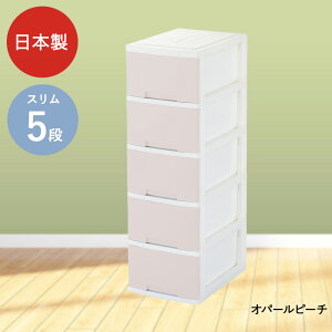 j[CtX [{bNX 5i LX^[t O[p | [ {bNX `FXg m^X o P[X m[P[X [box [{bNX5i [P[X ߑP[X 