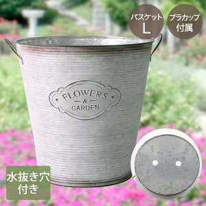 y Gg[Ń|Cgő14{ 12/4()20:00`12/11()1:59܂ zt[Y K[f oXPbg LTCY Jbvt NE-738 LIVPLUS | v^[  񂹐A Aؔ K[fjO |bg 