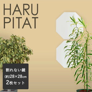 j[͂҂ 280×280mm 2g | ͂s^  V[ RpNg  tB mt[ Sg tFNX~[ hƃ~[ p EH[~[ y \鋾 \~[ C  