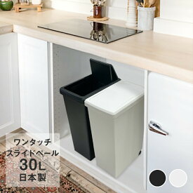 スライドペール 30L ゴミ箱 | ごみ箱 ダストボックス キッチン スリム プラスチック 30l ペール 縦型 分別ゴミ箱 蓋付き ふた付き キャスター付き おしゃれ カウンター下 30リットル 蓋つき シンク下 分別 台所 模様替え ごみばこ 蓋 引っ越し オシャレ 新生活 隙間 大容量