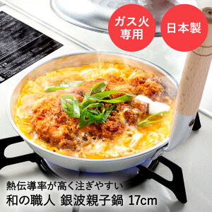 Ɩ A~ eq 17cm KXΐp g a̐El { J |  A~  eq KX  {iI {i Ȃ y y      ֗ Lb` l