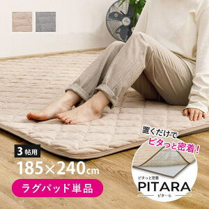 VJ[pC LgO 3 185×240cm s^[ | YȂ O pbh SȂ u Q ~pbh 100% Tb pCn I[V[Y 􂦂