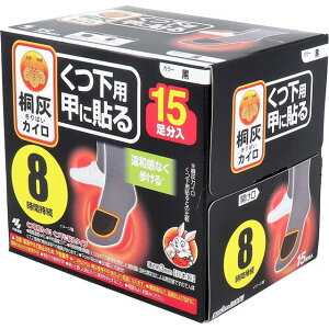 pJC ̍b Cp Cɓ\^Cv ˊDJC p \  8Ԏ 15  ubN {