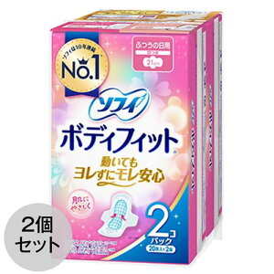 ivL p \tB {fBtBbgӂ̓p H 20×2pbN×2Zbg