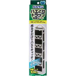 nGSV[g nG莆 nG쏜 oT nGƂgbv SV[g 10 rO Lb` ݂邷