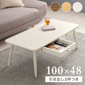 e[u Z^[e[u [e[u ` 100x48cm ʈo[t  ؖڒ ȒPg