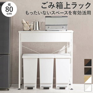 S~ドbN Ch 80cm o [t  VvfUC Lb`[I