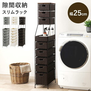 Ԏ[ h[`FXg 25cm nC^Cv ot h[[ 󕨓 