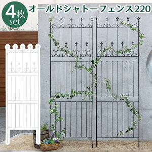 ACAtFX K[ftFX I[hVg[tFX 220 nC^Cv 4g