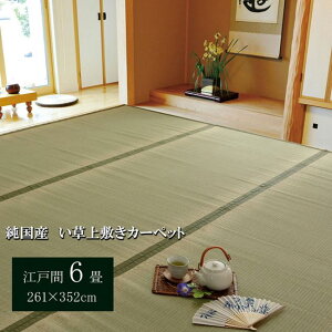 ̏~ Y  ~ J[ybg ]ˊ 6 261×352cm oڐD  R hL