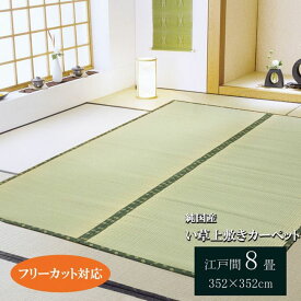 畳の上敷き フリーカット 純国産 い草 ござ カーペット 江戸間 8畳 約261×352cm F竹 ウレタン貼り