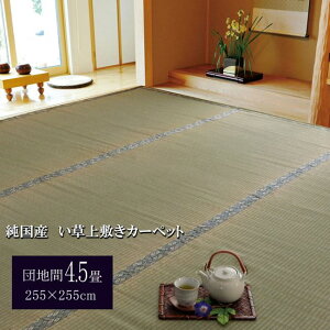 ̏~ ̏ɕ~ Y   J[ybg cn 4.5 255×255cm D 