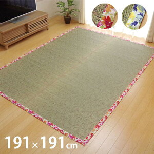 O J[ybg sDz\ 191x191cm NStOX  J[ybg ԕ a rO ~ ȒP  RۖhL