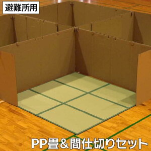 hЊԎd؂Zbg hЃ}bg ȈՃ}bg }bgX 200x200cm h  u y RpNg[  ȒP ɂ