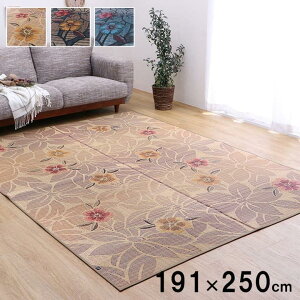 O O 191x250cm Ȃł J[ybg Y { ԕ a rO ȒP  RۖhL  L ɂ