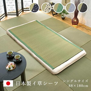 V[c Q  88x180cm Y { F{Y   炳  ȒP RۖhL  L C ɂ