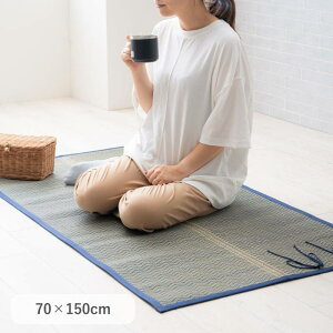 O W[V[g AEghAp 70x150cm ~j  RpNg gїp ߂V[g