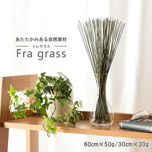 IuWF u  rO CeA tOX 30cm TXeiu Rf Y  C i`