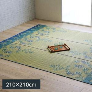 �y6��29��16�������|�C���g10�{���z�������O �J�[�y�b�g �~�� DX���e�[�� 210×210cm ���[�t�� ����~�ߕt�� �F�{���Y�����g�p ���{��