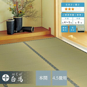 J[ybg  O ̏~ { 4.5 286×286cm ̏ɕ~ o[Vu n R hJr