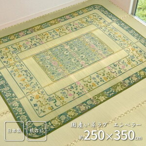 O}bg ėp J[ybg O   Y 5.5 250×350cm D Gy[  tėp { \薳