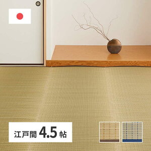 O J[ybg Ԃ ̏~ ]ˊ 4.5p 261×261cm  ėp ̏ɕ~  Y { hJr L