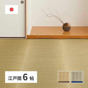 O J[ybg Ԃ ̏~ ]ˊ 6p 261×352cm  ėp ̏ɕ~  Y { hJr L