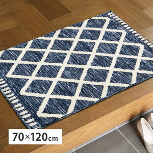 փ}bg ^O VFj[}bg AC 70x120cm WK[hD 􉽊w ~ߕt