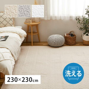 O CuO ɂ₳ 􂦂LgO fR[ ` 230x230cm  Rbg100% Ԃ xr[Mtg