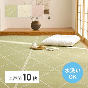 ���O �J�[�y�b�g ���@���ł��� �������J�[�y�b�g ���\�薳�� �����h �]�ˊ�10�� 348x440cm �p�X�e���J���[ ���� �~�� ��~��