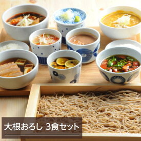 そば 生蕎麦 生そば 信州 雪蔵そば 3食セット つゆ付き 大根おろし お取り寄せグルメ