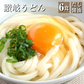 讃岐うどん 6食分(300g×2)鎌田醤油特製だし醤油付 製麺所直送 本場讃岐うどん【メール便】