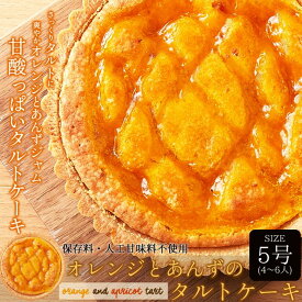 オレンジとあんずのタルトケーキ 5号 ホール タルトケーキ お取り寄せ スイーツ 常温便 4人?6人用【ネコポス 送料無料】