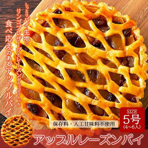 Abv[YpC 5 z[ SvU[u [Y  XC[c 퉷 4l`6lpy[ z