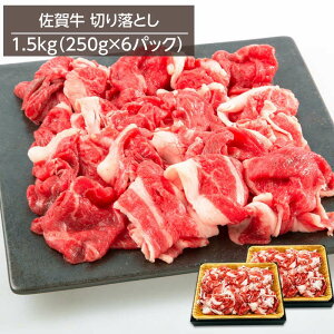  јa ꋍ؂藎Ƃ A4Nȏ 1.5kg 250gx6pbN Ⓚ 񂹃O  Ⴊ uߕ