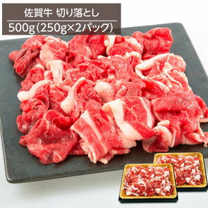  јa ꋍ؂藎Ƃ A4Nȏ 500g 250gx2pbN Ⓚ 񂹃O  Ⴊ uߕ