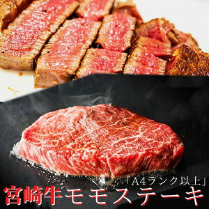 ~胂Xe[L  Y {苍 јa A4Nȏ 600gi100g×6jⓀ