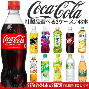 炭酸 ジュース ペットボトルの人気商品 通販 価格比較 価格 Com