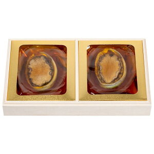 юp  lߍ킹 Mtg v[g  Ε j