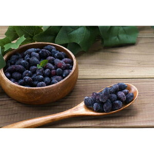 kCYⓀnXJbv lߍ킹 Mtg v[g  Ε j