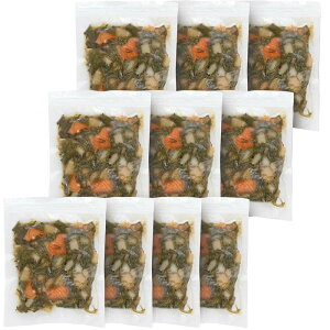 O ՂCN10Zbg v[[hbO t@[ lߍ킹 Mtg v[g  Ε j