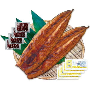  YȂăZbgiiJztj v[[hbO t@[ lߍ킹 Mtg v[g  Ε j