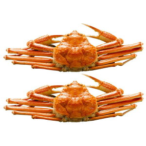 {C킢Ɏp lߍ킹 Mtg v[g  Ε j