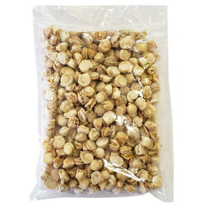 kCY Ɩpxr[{CقĊL ԑY lߍ킹 Mtg v[g  Ε j