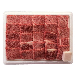 Ă đ򋍌[Xē lߍ킹 Zbg Mtg v[g  Ε j